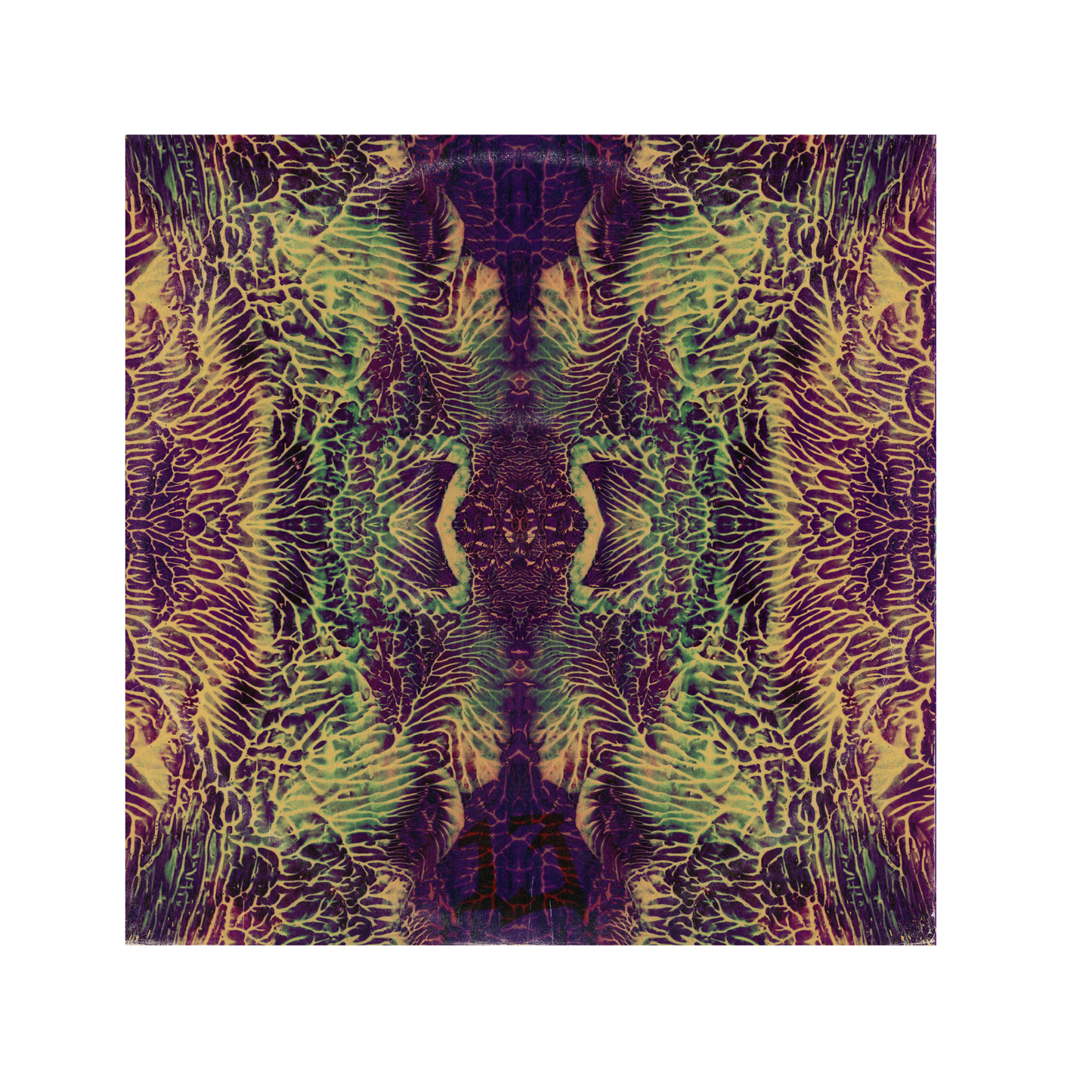Bandana Purple/Green
